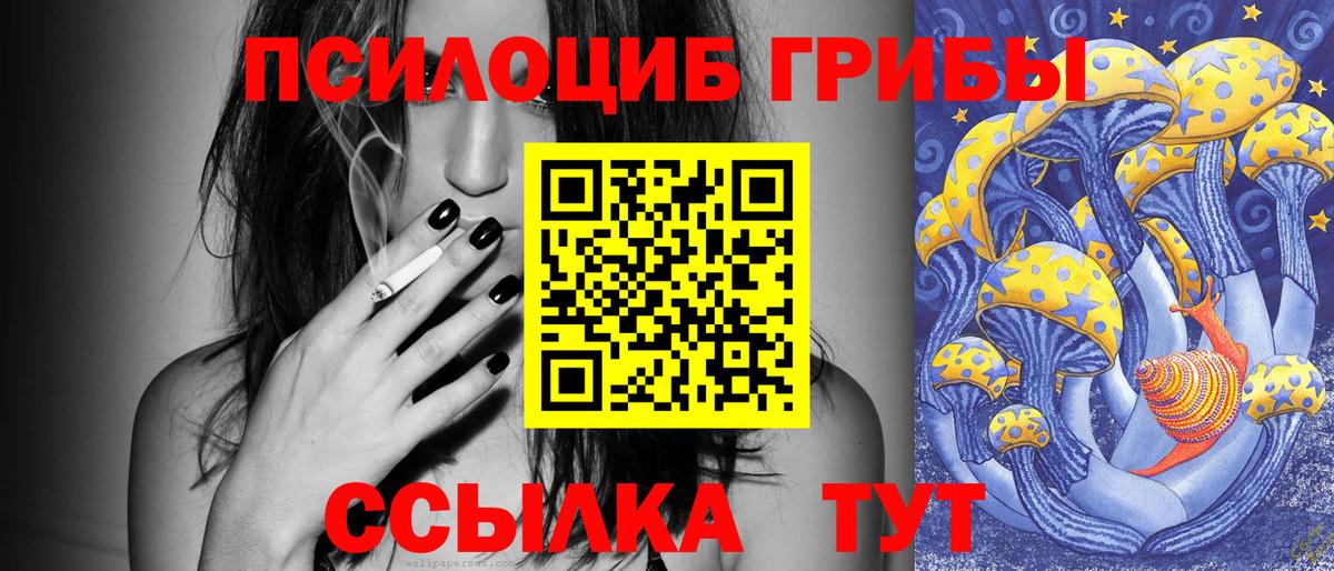 Псилоцибиновые грибы прущие грибы  Вход с VPN  Галлюциногенные грибы прущие грибы  Острогожск 